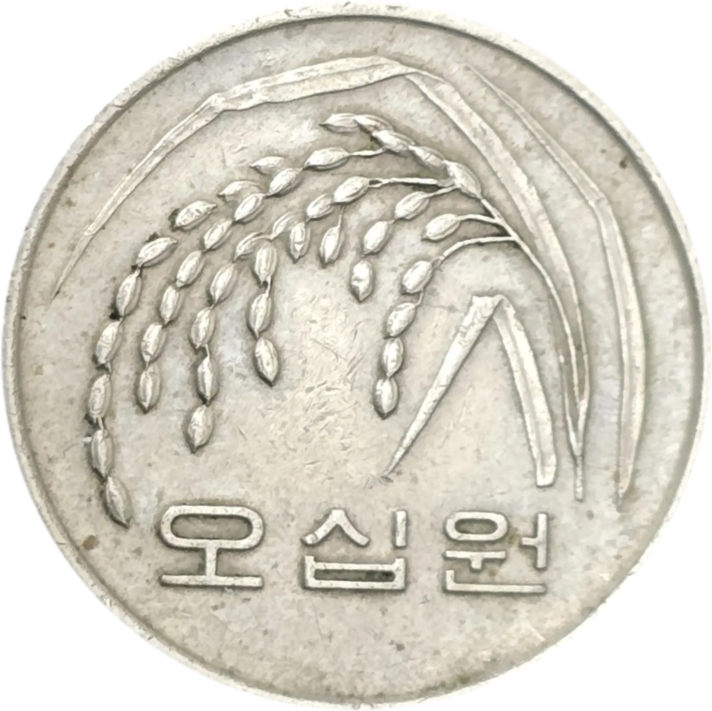 سکه کره جنوبی ۵۰ وون کره جنوبی خوشه برنج